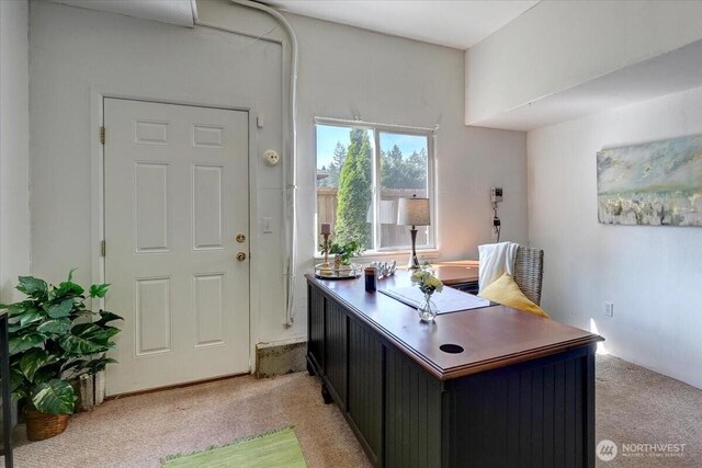 office featuring light carpet