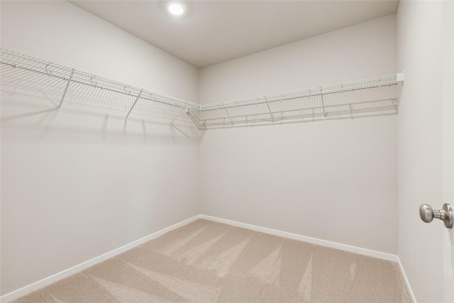 spacious closet with light carpet