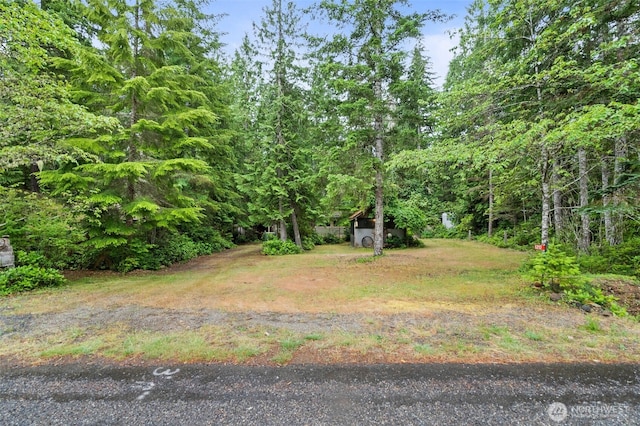 120 King Dr, Brinnon, WA 98320 - photo 2