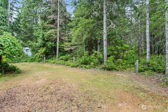 120 King Dr, Brinnon, WA 98320 - photo 24