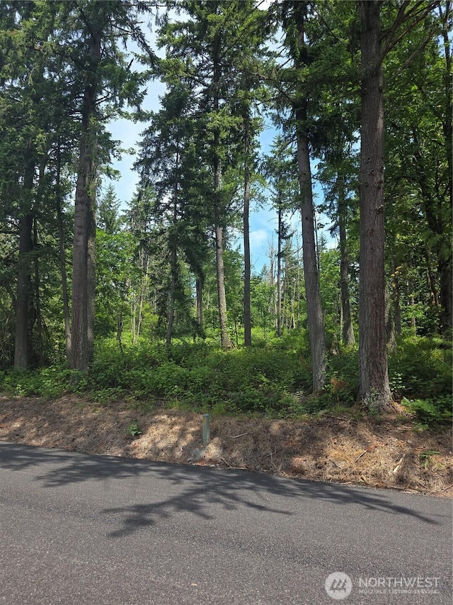 29615 Orting Kapowsin Hwy E, Graham, WA 98338