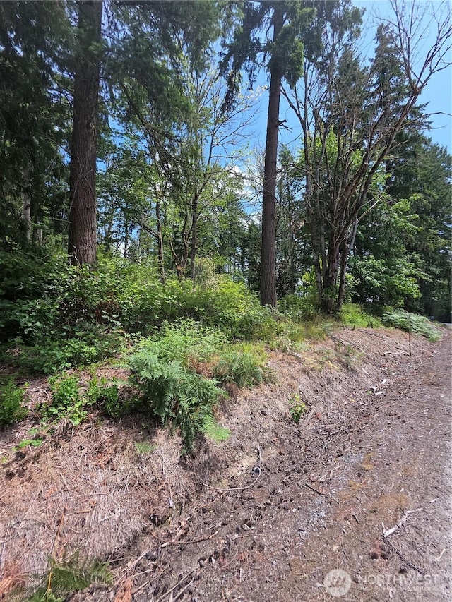 29615 Orting Kapowsin Hwy E, Graham, WA 98338
