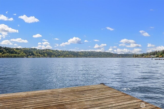 3834 175th Ave NE Unit 209, Redmond, WA 98052 - view of dock featuring a water view