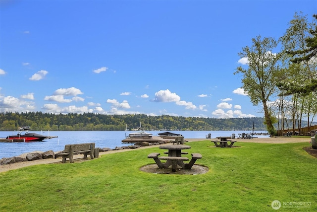 3834 175th Ave NE Unit 209, Redmond, WA 98052 - property view of water with a boat dock and a wooded view