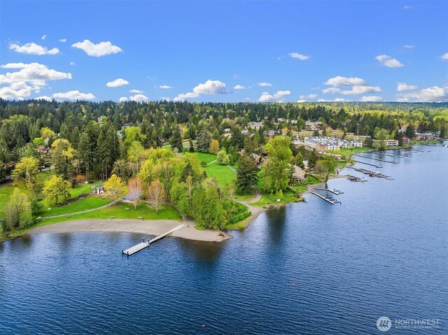 3834 175th Ave NE Unit 209, Redmond, WA 98052 - bird's eye view featuring a water view