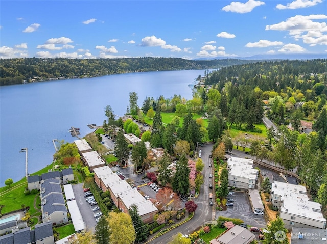 3834 175th Ave NE Unit 209, Redmond, WA 98052 - aerial view with a water view and a wooded view