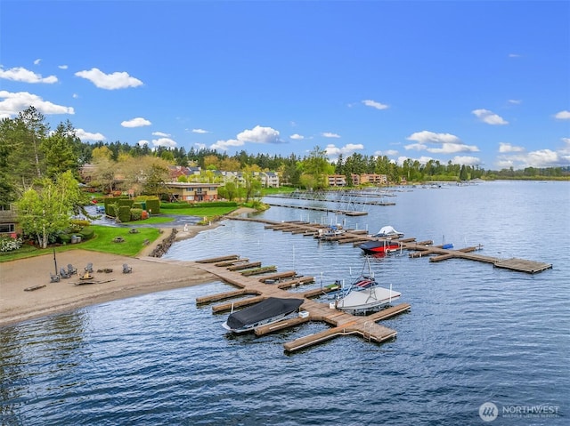 3834 175th Ave NE Unit 209, Redmond, WA 98052 - property view of water featuring a boat dock