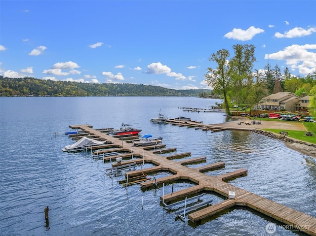 3834 175th Ave NE Unit 209, Redmond, WA 98052 - dock area featuring a water view