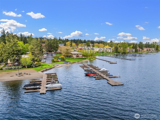 3834 175th Ave NE Unit 209, Redmond, WA 98052 - water view featuring a floating dock