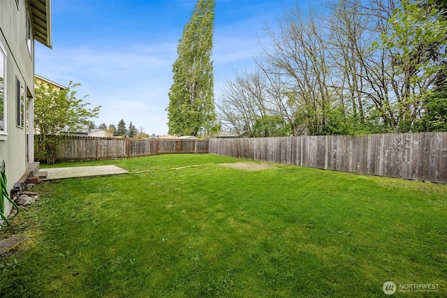 view of yard with a patio and a fenced backyard