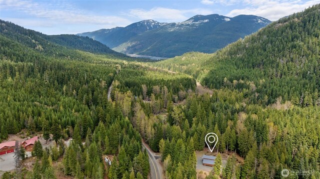 view of mountain feature with a wooded view