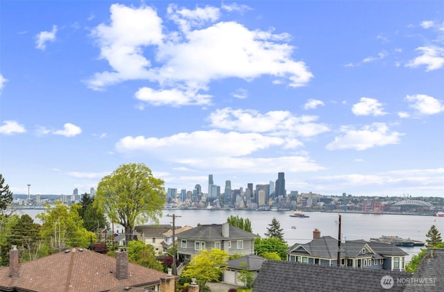 view of water feature featuring a city view