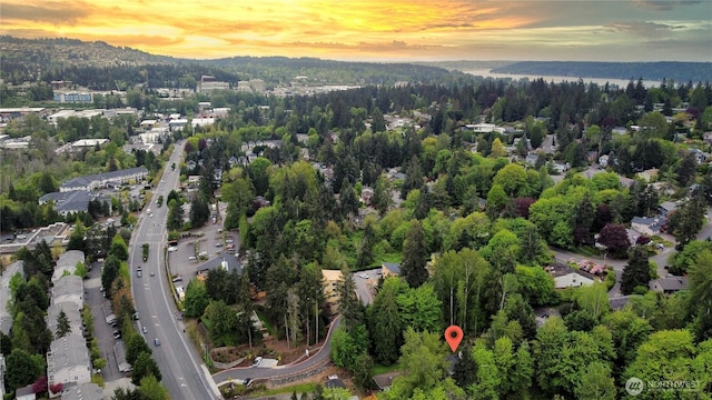 1823 Richards Rd, Bellevue, WA 98005 - aerial view at dusk with a view of trees