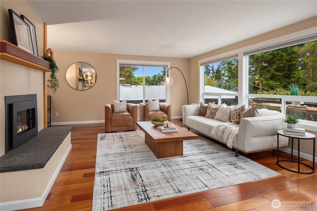 living room with baseboards, wood finished floors, and a fireplace
