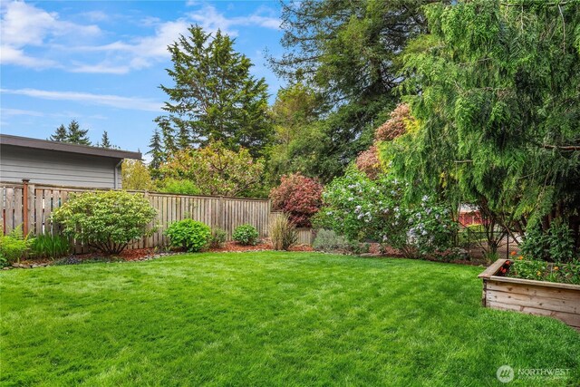 view of yard featuring fence