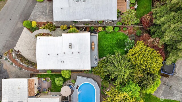 drone / aerial view