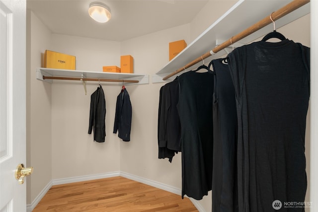 spacious closet with light wood-type flooring