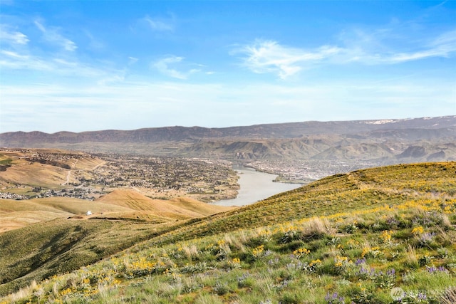 6894 Burch Mountain Rd, Wenatchee, WA 98801
