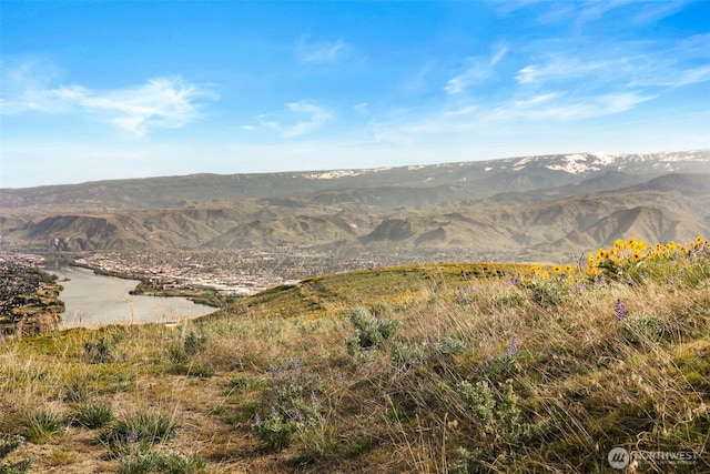 6894 Burch Mountain Rd, Wenatchee, WA 98801