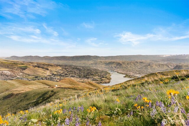 6894 Burch Mountain Rd, Wenatchee, WA 98801