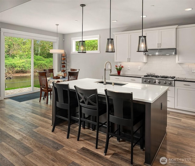 kitchen featuring decorative backsplash, a kitchen island with sink, a breakfast bar, under cabinet range hood, and a sink