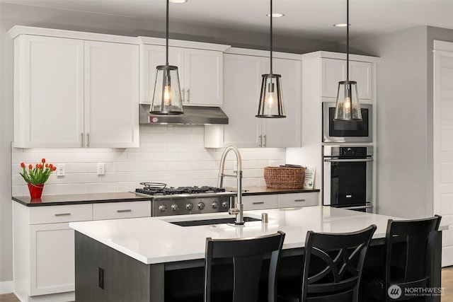 kitchen with white cabinets, under cabinet range hood, tasteful backsplash, and stainless steel appliances