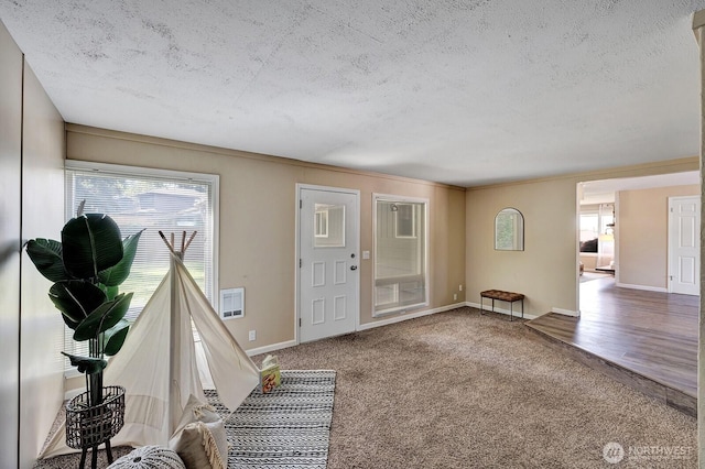 entryway featuring a textured ceiling, healthy amount of natural light, carpet flooring, and baseboards