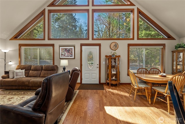 81 N Fawn Dr, Hoodsport, WA 98548 - living area with high vaulted ceiling, plenty of natural light, and wood finished floors
