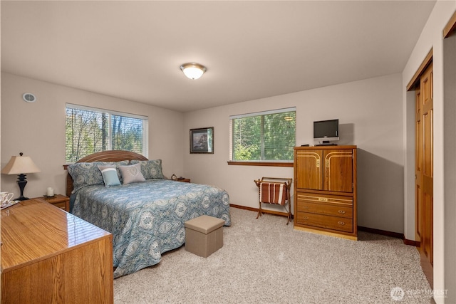 81 N Fawn Dr, Hoodsport, WA 98548 - bedroom featuring baseboards, light carpet, and a closet