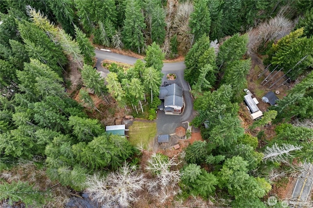 81 N Fawn Dr, Hoodsport, WA 98548 - bird's eye view