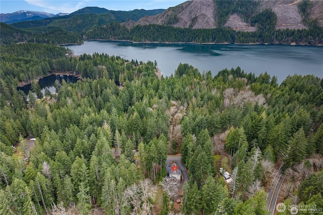 81 N Fawn Dr, Hoodsport, WA 98548 - birds eye view of property with a water and mountain view and a wooded view