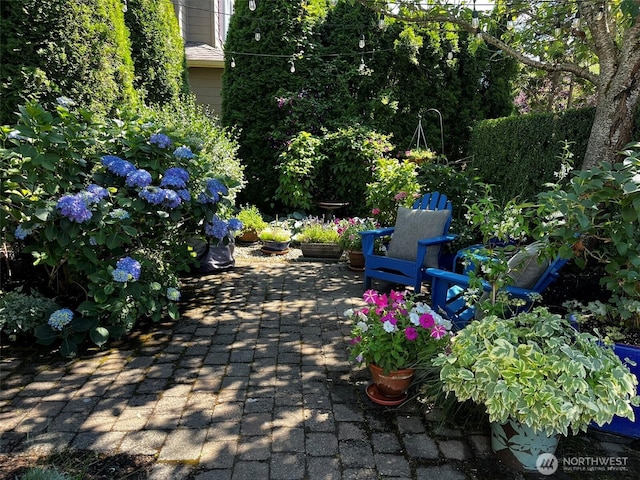 2116 263rd Pl SE, Sammamish, WA 98075 - view of patio