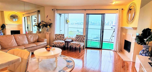 living area featuring light wood-style floors and a fireplace
