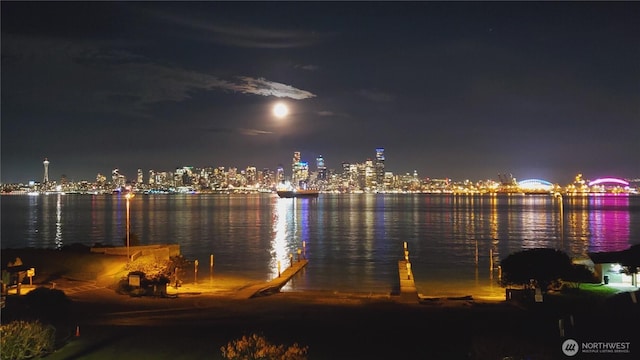 water view featuring a view of city lights
