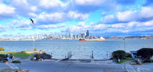 view of water feature featuring a view of city