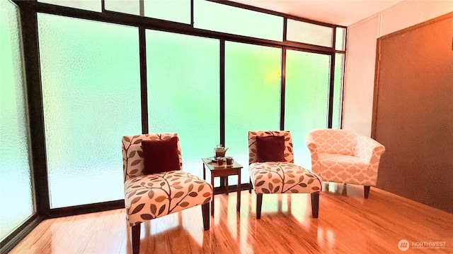 sitting room with light wood-type flooring