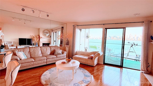 living area with wood finished floors