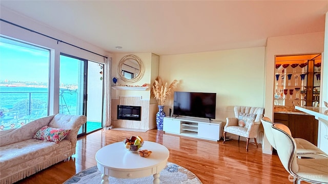 living room with a fireplace and wood finished floors