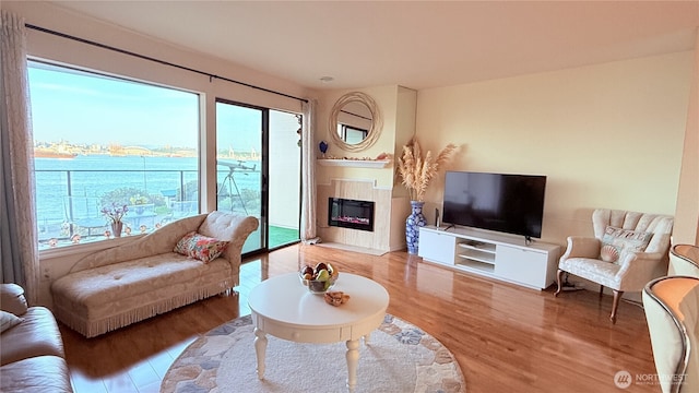 living area with a high end fireplace, wood finished floors, and a wealth of natural light