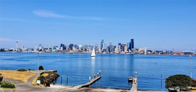 water view with a view of city and a boat dock