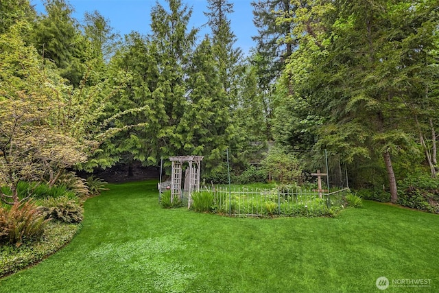 view of yard