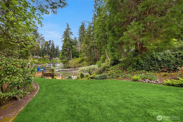 view of yard featuring a boat dock