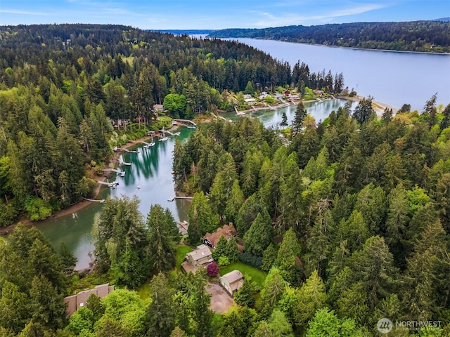 birds eye view of property featuring a view of trees and a water view