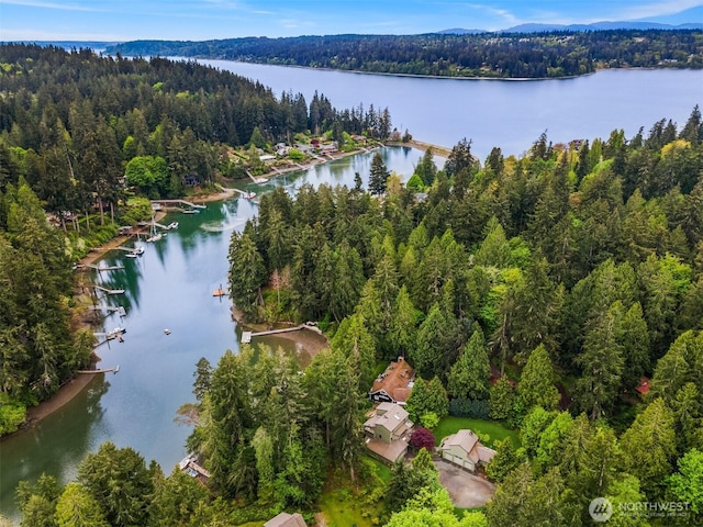 bird's eye view with a forest view and a water view
