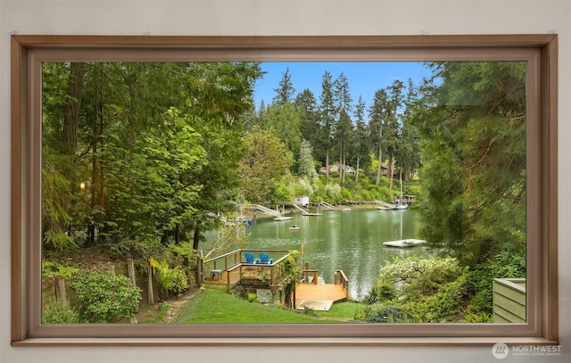 water view featuring a dock