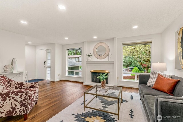 living room featuring wood-type flooring, recessed lighting, a fireplace with raised hearth, and a healthy amount of sunlight
