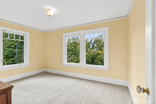 unfurnished room with baseboards, carpet, and a healthy amount of sunlight