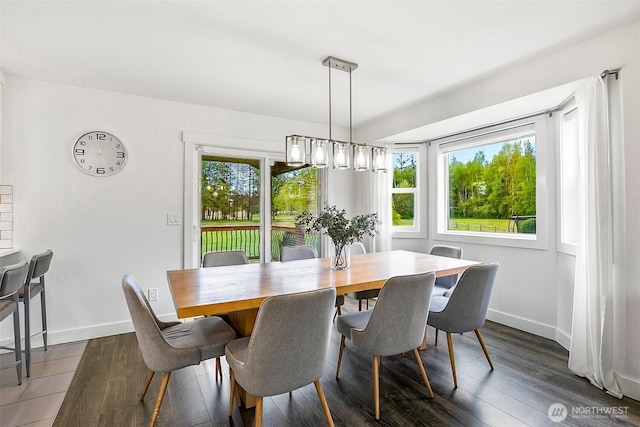 dining space featuring baseboards, a healthy amount of sunlight, and wood finished floors