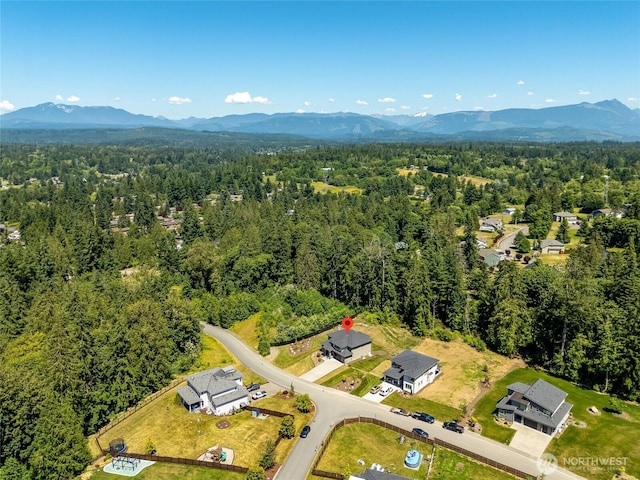 14917 250th Dr SE, Monroe, WA 98272 - photo 3