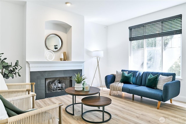 living room featuring wood finished floors and a fireplace